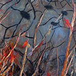 Deconstructing Japan